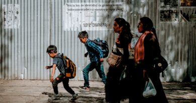 Entender las Últimas Leyes de Inmigración de EE.UU.: Lo Que Necesita Saber